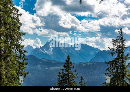 Blick vom Wanderweg am Predigstuhl nach Hochkalter, 2608 m, Lattengebirge, Bad Reichenhall, Bayern, Deutschland, Europa Stockfoto