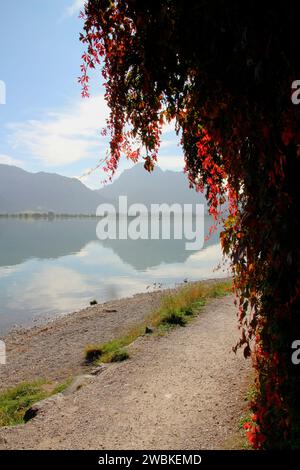 Sommer am Ufer des Forggensees bei Rieden, Rotwein auf dem Weg, Strand, Ostallgäu, Allgäu, Schwaben, Bayern, Süddeutschland, Deutschland, Europa Stockfoto