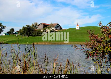 Kapelle am See und Bauernhof am Hergatsrieder See, bei Forgensee, gemeines Schilf (Phragmites australis), Hergatsried, Halblech, Allgäuer Alpen, Bayern Stockfoto