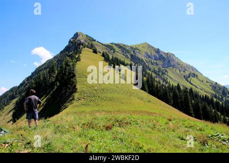 Wandergruppe von 4 Frauen, aus Gröbner Hals, nahe der Tiefenbachalm in Bächental, Eben am Achensee, Tirol, Österreich Stockfoto