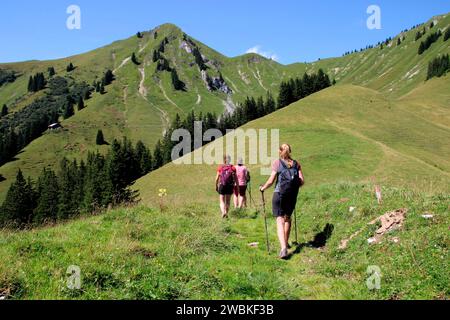 Wandergruppe von 3 Frauen, Abfahrt von Gröbner Hals zur Tiefenbachalm in Bächental, Eben am Achensee, Tirol, Österreich Stockfoto