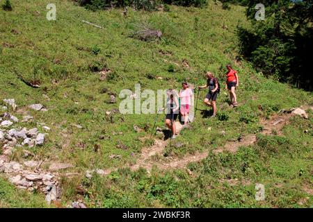 Wandergruppe von 4 Frauen, aus Gröbner Hals, nahe der Tiefenbachalm in Bächental, Eben am Achensee, Tirol, Österreich Stockfoto