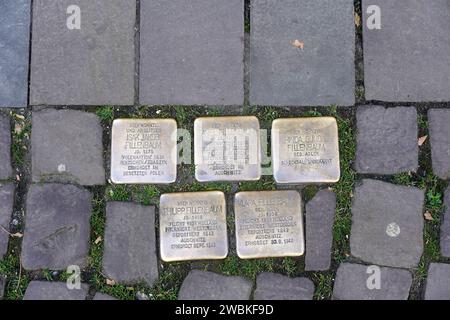 Deutschland, Nordrhein-Westfalen, Köln, Nazi-Opfer, Kopfsteinpflaster, Anschlagsteine, Messing Stockfoto