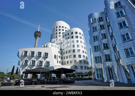 Deutschland, Nordrhein-Westfalen, Düsseldorf, Medienhafen, Gebäudekomplex neuer Zollhof von Frank Gehry, Rheinturm Stockfoto