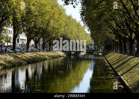 Deutschland, Nordrhein-Westfalen, Düsseldorf, Königsallee, Stadtgraben, Kö-Graben, Laubbäume Stockfoto