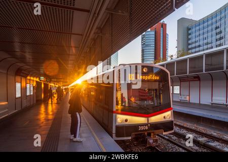 Wien, Zug der U-Bahn-Linie U1 am Bahnhof Kaisermühlen - Vienna International Centre, Wolkenkratzer Donaucity, Sonnenuntergang 22. Bezirk Donaustadt, Österreich Stockfoto