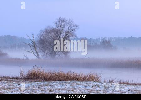 Ein eisiger Wintermorgen im Elbvorland bei Brackede in der Elbtalaue Stockfoto