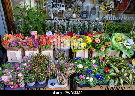 Außenpräsentation von Blumen und Pflanzen an Stangen und Stängeln Floristen, Pollokshaws Road, Shawlands, Glasgow, Schottland, Großbritannien, Europa Stockfoto