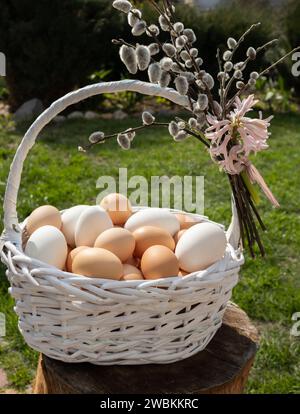 Viele frisch gesammelte Hühnereier und ein Weidenstrauß in einem Korb auf dem Gras an einem sonnigen Tag. Ostervorbereitung. Palmensonntag. Orth Stockfoto