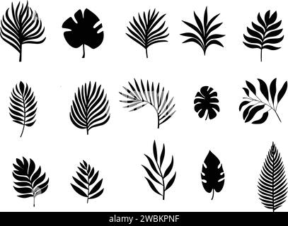 Tropische Blätter Vektor. Set von Palmenblättern-Silhouetten. Baumblatt für Dekorationselement für Schablone Stock Vektor