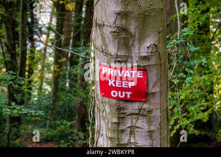 Privates Schild auf einem Baum im Wald auf dem Land. Stockfoto