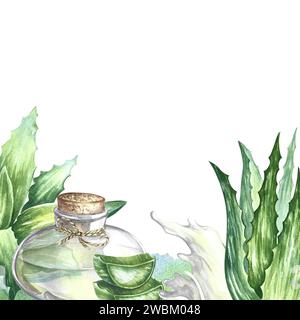Der Rand besteht aus Aloe Vera. Zerquetschte Stücke und Aloe Vera Gel. Handgemalt mit Aquarellen. Für Etiketten und Verpackungen von Kosmetika, Parfüms und Stockfoto