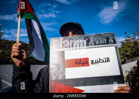 11. Januar 2024: Tunis, Tunesien. 11. Januar 2024. Pro-palästinensische Demonstranten heben palästinensische Fahnen und Banner vor der südafrikanischen Botschaft in Tunis an. Die Demonstration fiel mit der Einreichung einer Völkermordklage gegen Israel beim Internationalen Gerichtshof in den Haag zusammen. Südafrika beschuldigt Israel, seit dem 7. Oktober einen Völkermord am Gaza-Streifen begangen zu haben (Credit Image: © Hasan mrad/IMAGESLIVE via ZUMA Press Wire). Nicht für kommerzielle ZWECKE! Stockfoto