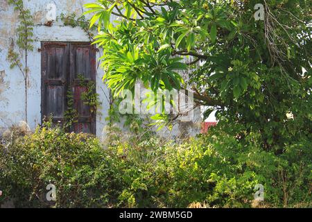 Ein geschlossenes Holzfenster in der Küstenstadt Jbeil, Libanon. Stockfoto