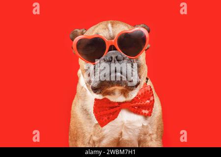 Cooler französischer Bulldog-Hund mit herzförmiger Valentinstag-Brille und Fliege auf rotem Hintergrund Stockfoto