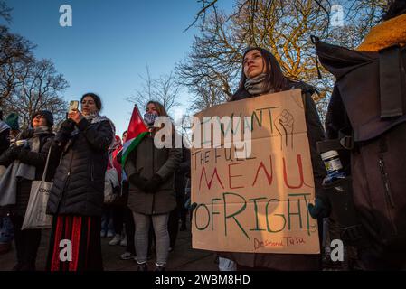 Den Haag, Südholland, Niederlande. Januar 2024. Pro-palästinensische Aktivisten sehen die Übertragung von Südafrikas Argument, dass Isreal Völkermord an dem palästinensischen Volk begeht. Am 11. Januar 2024 demonstrierten pro-israelische und pro-palästinensische Aktivisten vor dem Internationalen Gerichtshof in den Haag. (Kreditbild: © James Petermeier/ZUMA Press Wire) NUR REDAKTIONELLE VERWENDUNG! Nicht für kommerzielle ZWECKE! Stockfoto