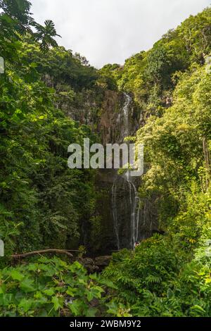 Die majestätischen Wailua Falls in Maui, Hawaii, ein ruhiges tropisches Paradies, perfekt für Naturliebhaber. Stockfoto