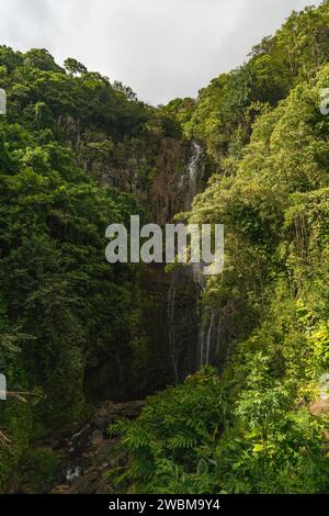 Die majestätischen Wailua Falls in Maui, Hawaii, ein ruhiges tropisches Paradies, perfekt für Naturliebhaber. Stockfoto