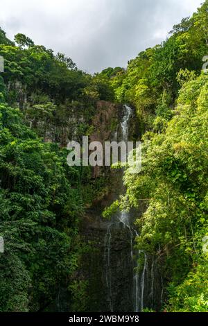 Die majestätischen Wailua Falls in Maui, Hawaii, ein ruhiges tropisches Paradies, perfekt für Naturliebhaber. Stockfoto