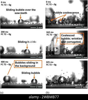 Jsc2020e030483 (20.04.2020) --- Eine Vorflug-Bildsequenz aus parabolischen Flugexperimenten, die die Bewegung der Dampfblase auf erhitzter Ratschenoberfläche anzeigt. Der asymmetrische Sägezahn- und Kavity-Enhanced Nucleation-Driven Transport (PFMI-ASCCENT) demonstriert ein passives Kühlsystem für elektronische Geräte in Schwerelosigkeit unter Verwendung einer mikrostrukturierten Oberfläche. Wenn Flüssigkeiten in Schwerelosigkeit über flachen erhitzten Oberflächen kochen, werden die Dampfblasen größer und führen zu schlechter Wärmeübertragung, die zu Schäden an Geräten führen kann. Das Hinzufügen von mikroskopisch kleinen Schlägern auf der Oberfläche kann die Mobilität von Dampfblasen und früher passiv ermöglichen Stockfoto