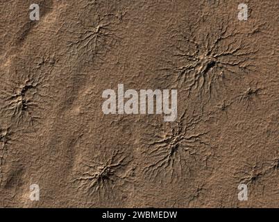 Die High Resolution Imaging Science Experiment Kamera auf dem Mars Reconnaissance Orbiter der NASA hat dieses Bild spinnenförmiger Strukturen auf dem Mars aufgenommen, die durch Verdampfen von Trockeneis geschnitzt wurden. Stockfoto