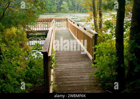 Aussichtsplattform am Tillinghast Pond, Tillinghast Pond Management Area, Rhode Island Stockfoto