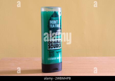 Original Source Tingly Mint & Tea Tree Duschgel 500 ml Flasche Stockfoto