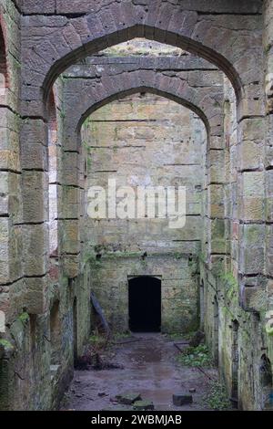 Eine Wanderung rund um das Dunmore Park Estate und dann entlang des neuen Küstenwegs von Dunmore nach South Alloa. Stockfoto