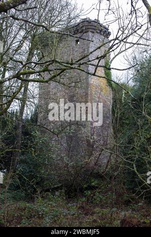 Eine Wanderung rund um das Dunmore Park Estate und dann entlang des neuen Küstenwegs von Dunmore nach South Alloa. Stockfoto