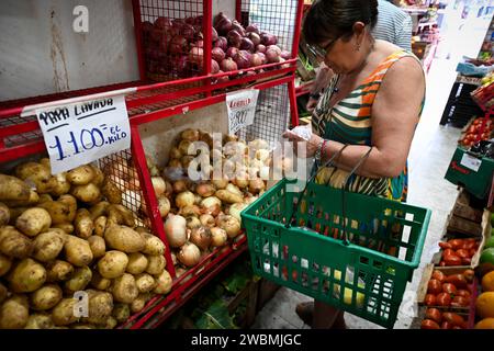 Buenos Aires, Argentinien. Januar 2024. Eine Frau kauft Gemüse in einem Supermarkt. Die jährliche Inflationsrate im südamerikanischen Land ist auf 211,4 Prozent gestiegen. Allein im Dezember stiegen die Preise um 25,5 Prozent. Kredit: Martin Cossarini//dpa/Alamy Live News Stockfoto