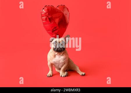 Niedliche französische Bulldogge mit herzförmigem Ballon auf rotem Hintergrund. Valentinstag-Feier Stockfoto