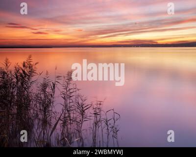 Spektakulärer und farbenfroher Sonnenuntergang im Naturpark Albufera mit Reflexion im See, in Valencia, Spanien. Stockfoto