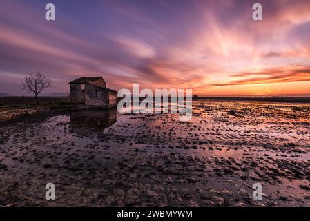 Wunderschöner Sonnenuntergang auf den überfluteten Reisfeldern mit einer Hütte Sonne versteckt sich am Horizont und alle Farben spiegeln sich im Wasser, Sueca, Valencia, Spanien Stockfoto