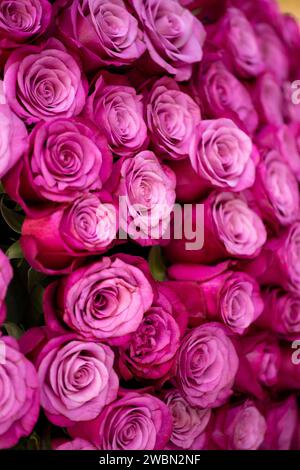 Ein riesiger Strauß rosa Rosen als Hintergrund. Postkarte, leer für Design, Vorlage. Frauentag, Muttertag, Valentinstag. Blumenlieferung. Flora Stockfoto