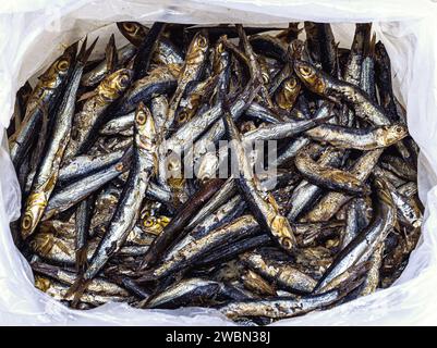 Geräucherte Sardellenfische in der Packung Stockfoto