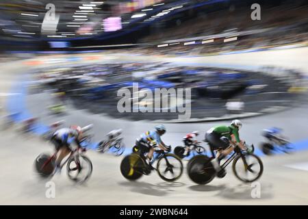 Apeldoorn, Niederlande. Januar 2024. Die belgische Lani Wittevrongel wurde während des Women's Scratch Race bei den UEC Track Elite Europameisterschaften 2024 in Apeldoorn, Niederlande, am Donnerstag, den 11. Januar 2024, in Aktion genommen. Die Europameisterschaften finden vom 10. Bis 14. Januar statt. BELGA FOTO DIRK WAEM Credit: Belga News Agency/Alamy Live News Stockfoto