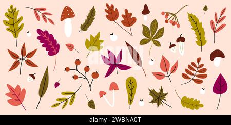 Handgezeichnete Blätter. Vektorfallelemente. Blätter, Pilze, Eicheln, Ahornblätter isoliert auf rosa Hintergrund. Herbstkollektion mit verschiedenen Arten Stockfoto