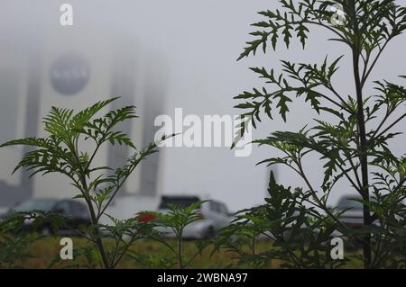 CAPE CANAVERAL, Fla. - Im Kennedy Space Center der NASA in Florida ist das 525 Meter hohe Vehicle Assembly Building im Nebel verdeckt. Das riesige Gebäude, das einst für die Verarbeitung von Apollo Saturn V-Raketen und Space Shuttles für den Start genutzt wurde, durchläuft derzeit eine Transformation, um es für die nächste Generation der NASA-Rakete, das Space Launch System oder SLS, sowie für unzählige kommerzielle Raketen in Entwicklung vorzubereiten. Stockfoto