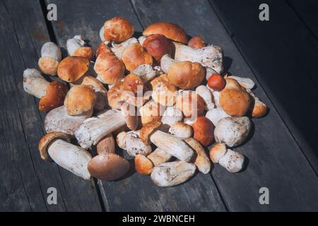 Ein großer Haufen frischer Waldpilze liegt auf einem alten Holztisch. Boletus edulis. Stockfoto