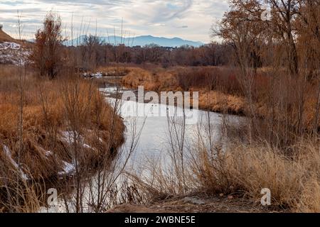 Denver, Colorado – Feuchtgebiete entlang des Clear Creek Trail. Der Wander-/Radweg verläuft 30 km von Golden, Colorado, bis zum South Platte River. Der cr Stockfoto