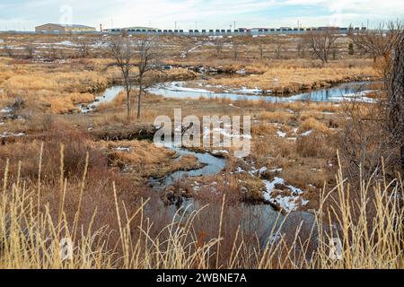 Denver, Colorado – Feuchtgebiete entlang des Clear Creek Trail. Der Wander-/Radweg verläuft 30 km von Golden, Colorado, bis zum South Platte River. Eine Zeile Stockfoto