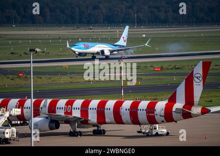 Flughafen Düsseldorf, TUIfly Boeing 737, bei der Landung, Condor-Flugzeug an der Außenposition, Parkposition, Stockfoto