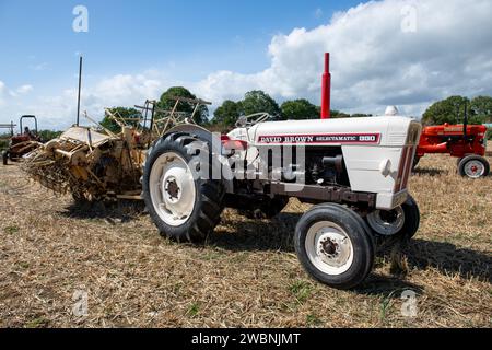 Drayton.Somerset.United Kingdom.19. August 2023.Ein restaurierter David Brown Selectamatic 990 wird auf einer Yesterdays-Bauernveranstaltung gezeigt Stockfoto