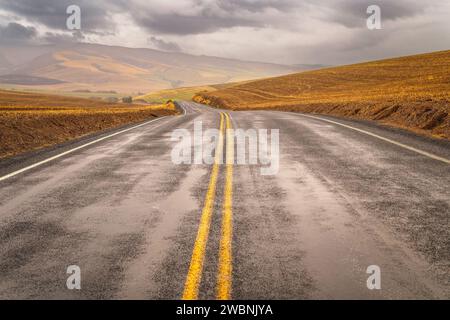 Eine leere Straße schlängelt sich durch Weizenfelder in Walla Walla, Washington. Stockfoto