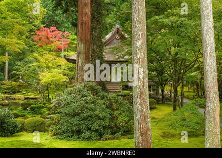 Im San Zen-in Tempel in Ohara, Japan, werden die Herbstfarben sichtbar. Stockfoto