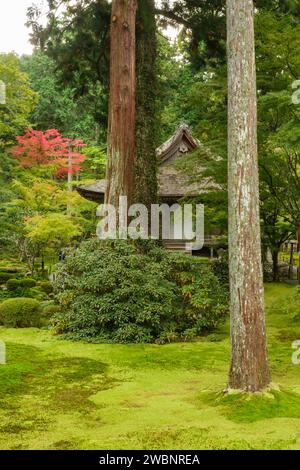 Im San Zen-in Tempel in Ohara, Japan, werden die Herbstfarben sichtbar. Stockfoto