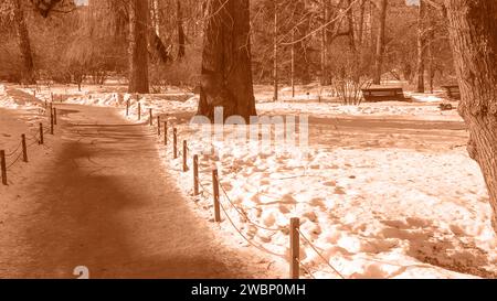 Frühlingshintergrund in Pfirsichtönen. Anfang Frühling. Der Beginn warmer Tage. Jahreszeiten. Parkallee am Ende des Winters. Spaziergänge unter freiem Himmel. Selektiv Stockfoto