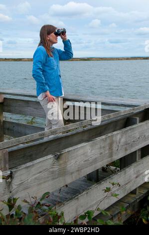 Aussichtsplattform am Osprey Punkt, Trustom Teich National Wildlife Refuge, Rhode Island Stockfoto