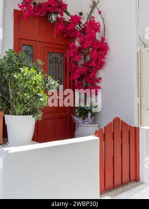 Blumenblüten hängen über der Tür eines Hauses in Mlykonos Stadt, Mykonos Insel, Griechenland Stockfoto