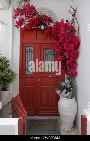 Blühende Blumen in einem Topf vor einem Eingang in Mykonos Stadt, Mykonos Insel, Südägäis, Griechenland Stockfoto